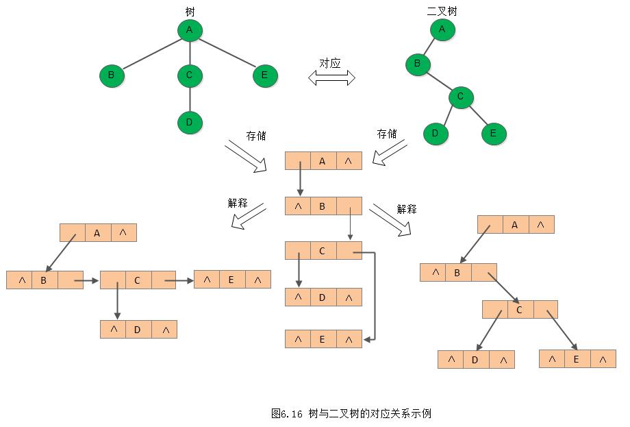 ds-tree-relation